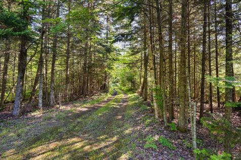 84 Indian Lake Road Owls Head NY 12969