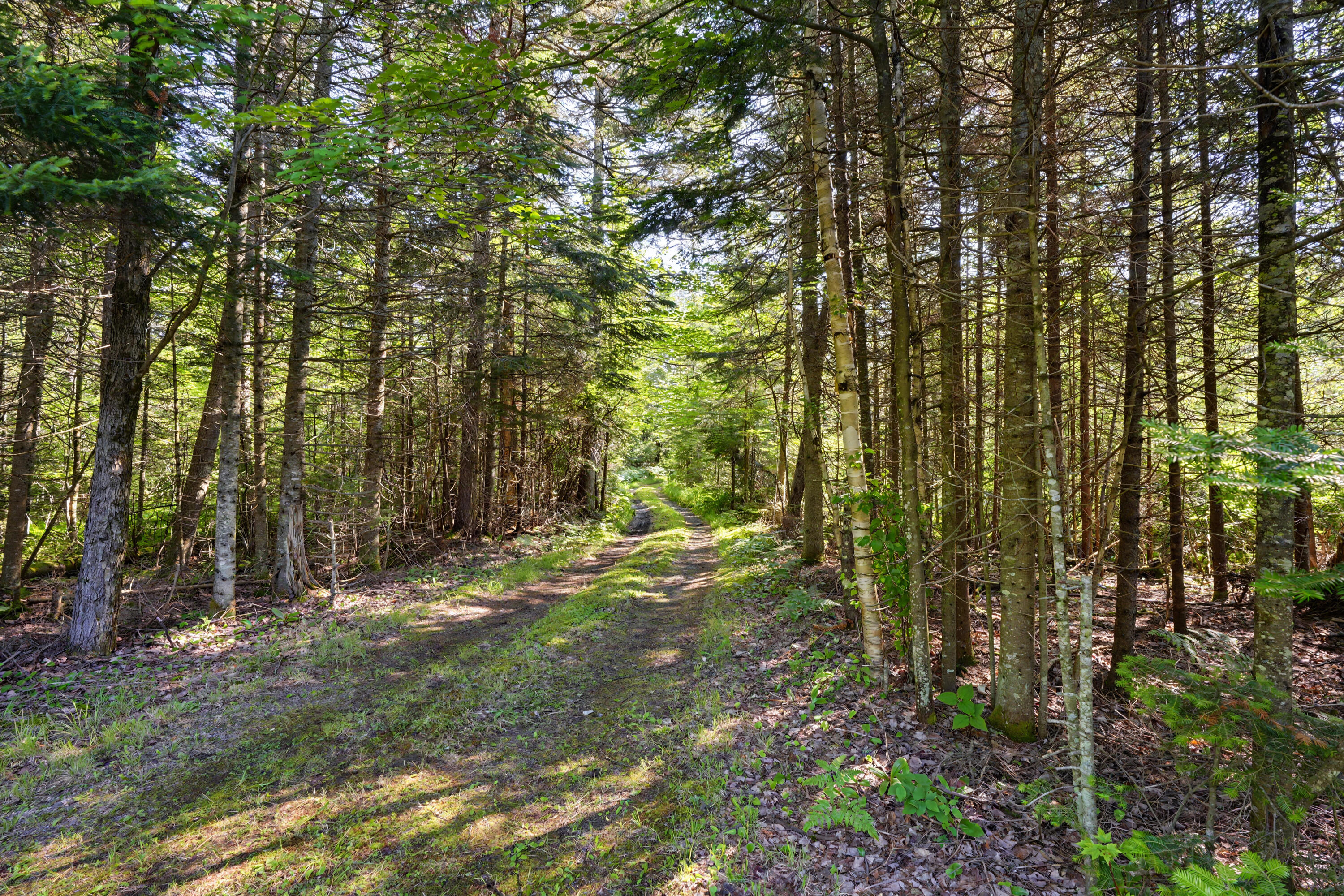 84 Indian Lake Road Owls Head NY 12969