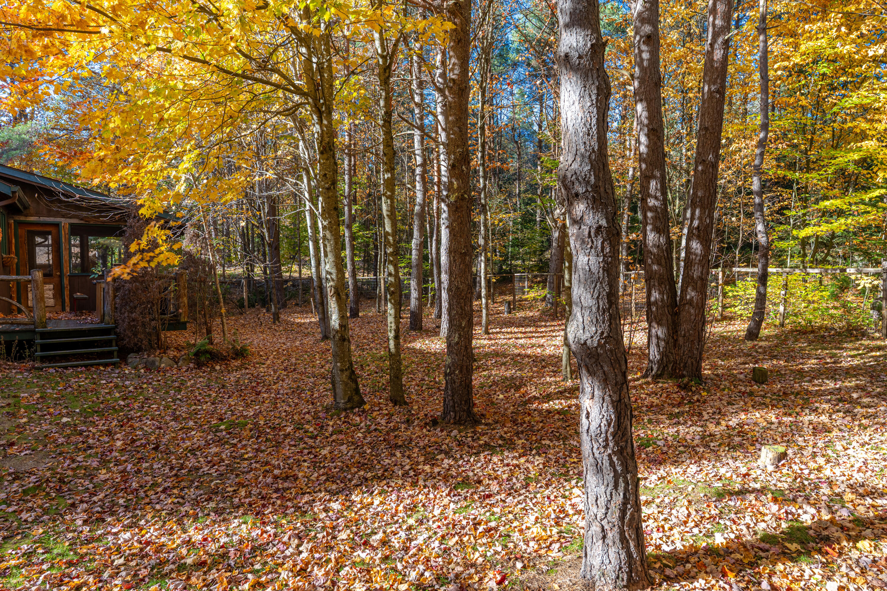 105 Patch Lane Lake Placid NY 12946