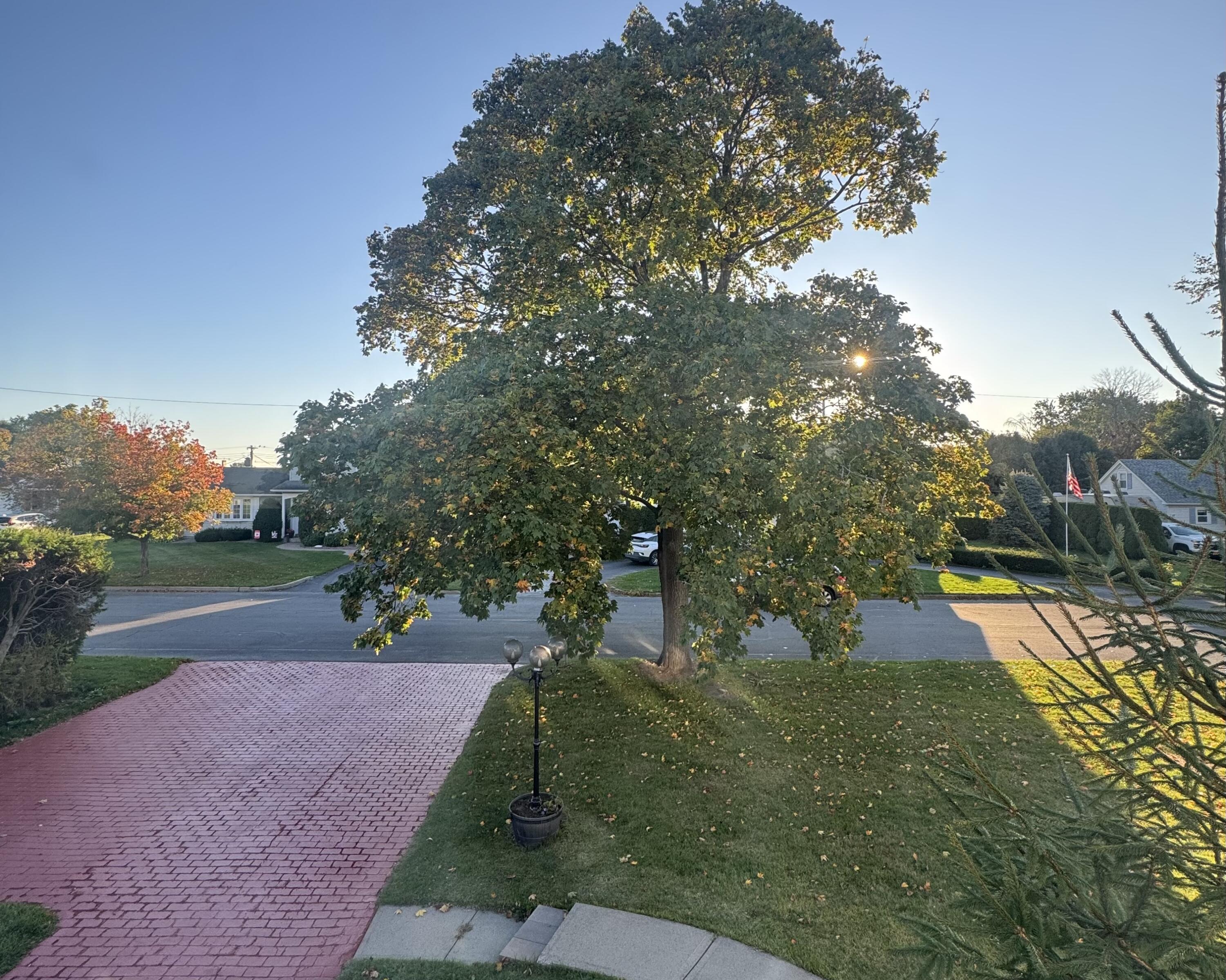 14 Olivetti Place Plattsburgh NY 12901