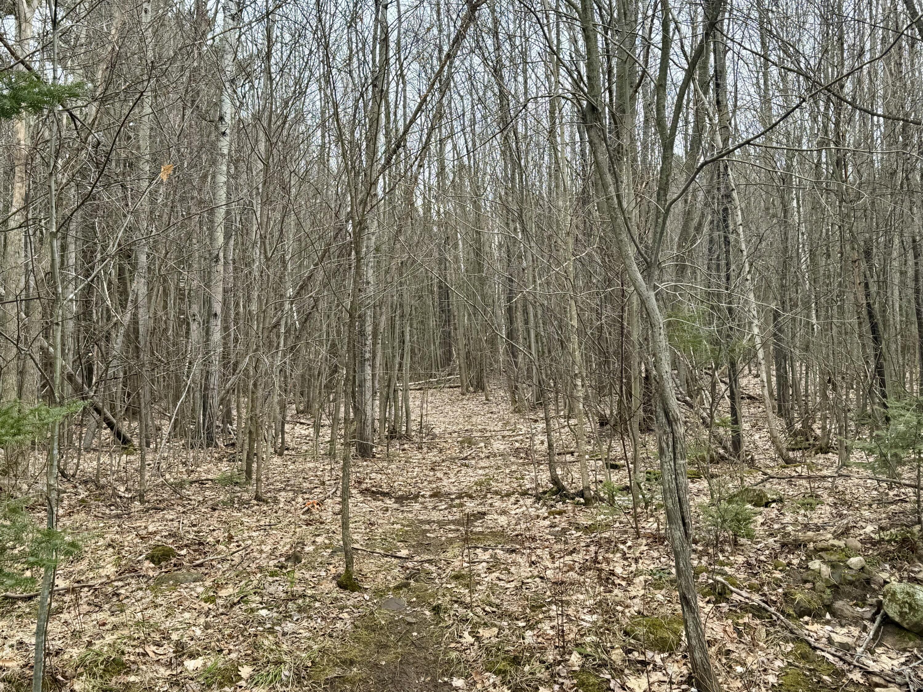 348 Patent Road Peru NY 12972