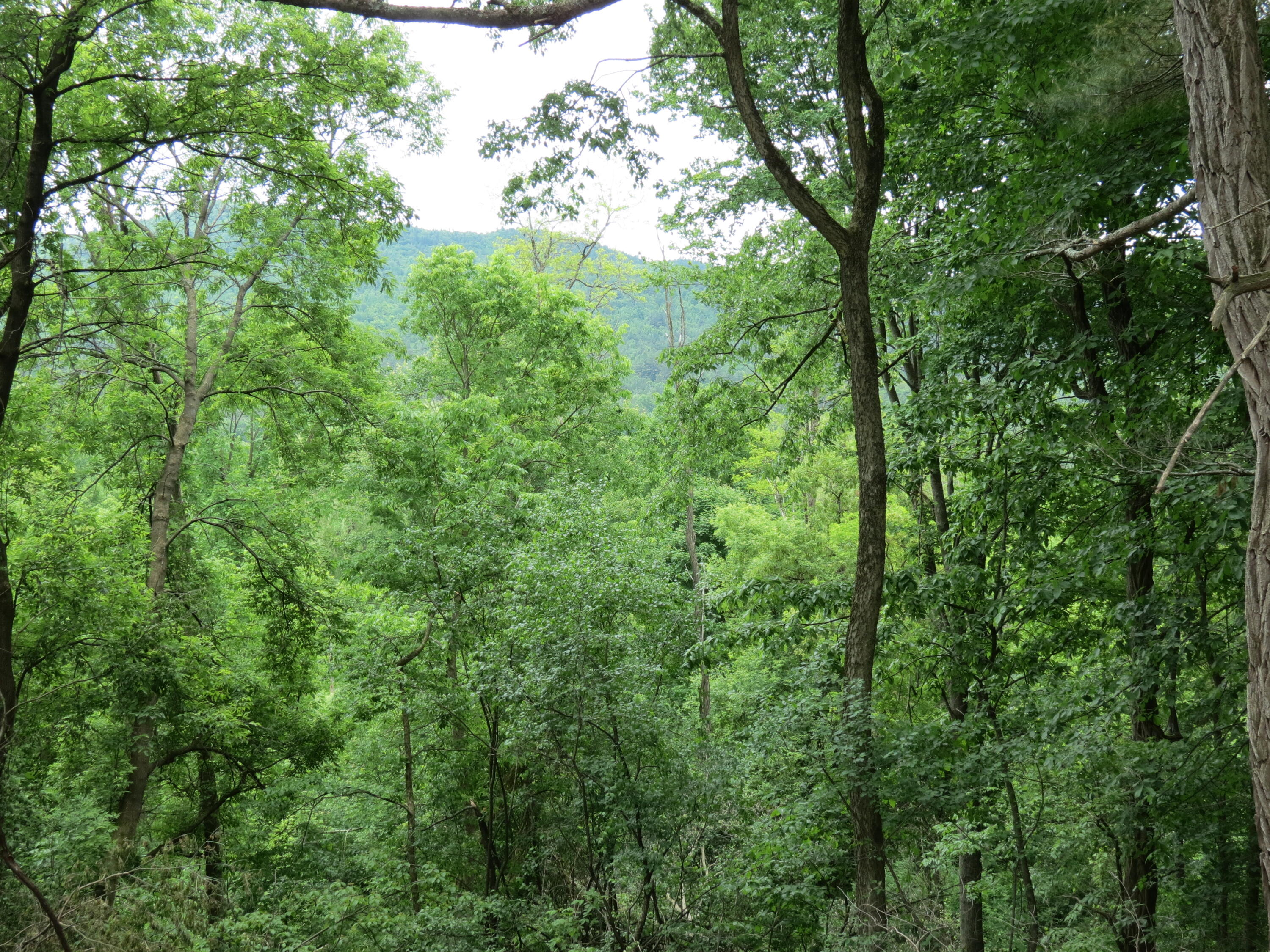 76 Balsam Drive Keeseville NY 12944