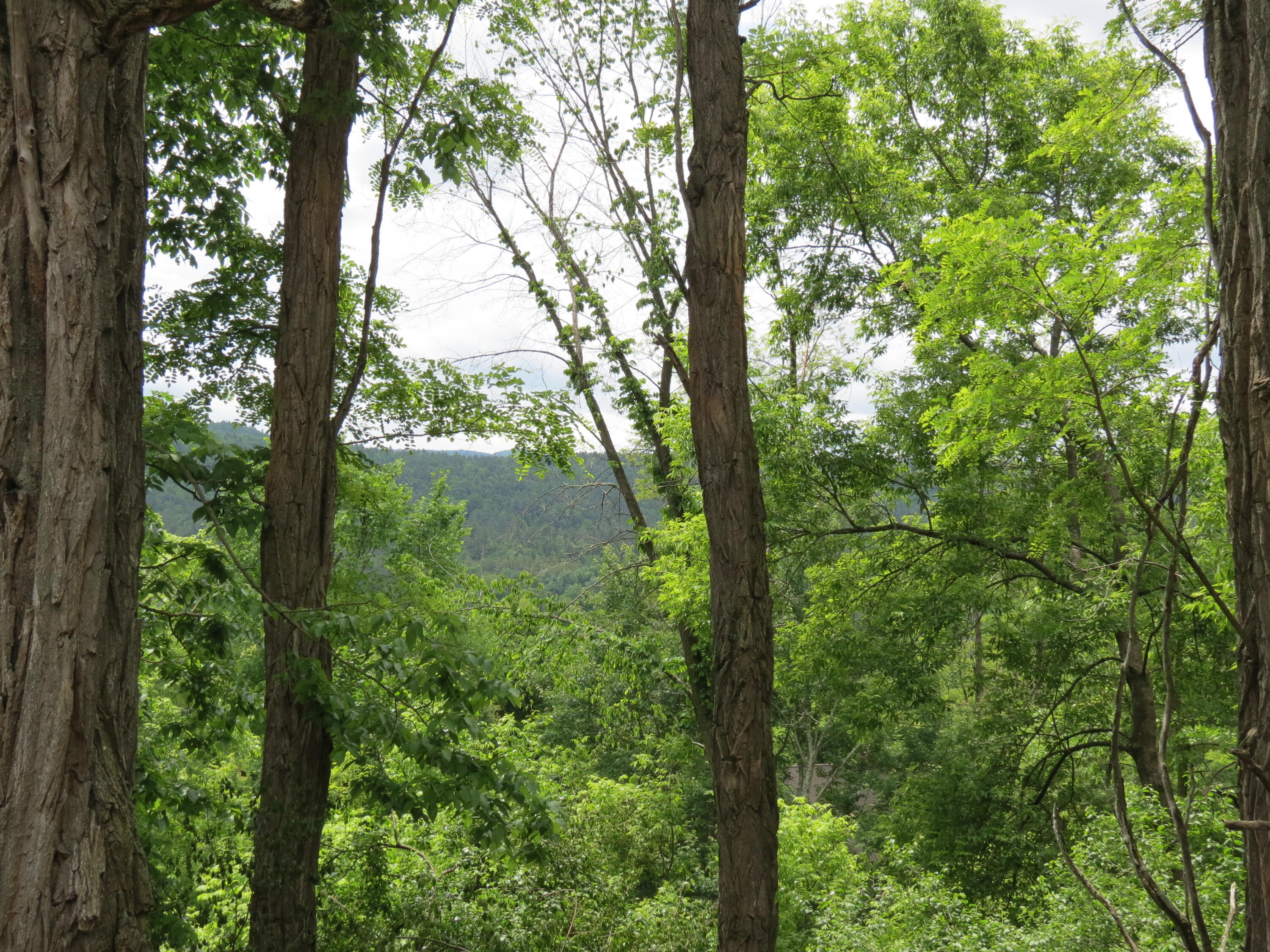 76 Balsam Drive Keeseville NY 12944