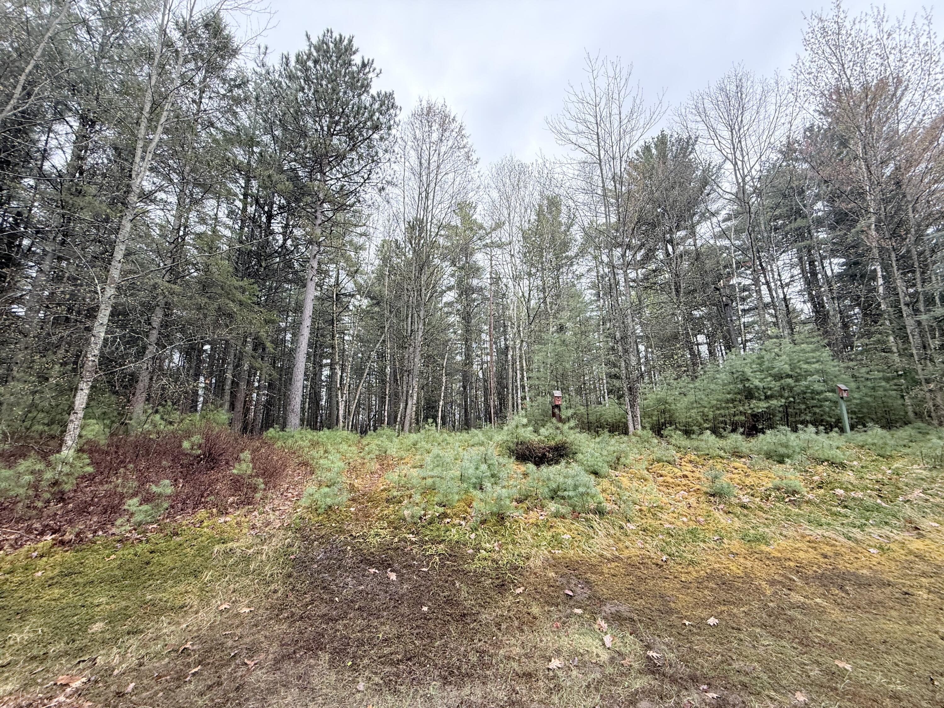 309 Turner Road Morrisonville NY 12962