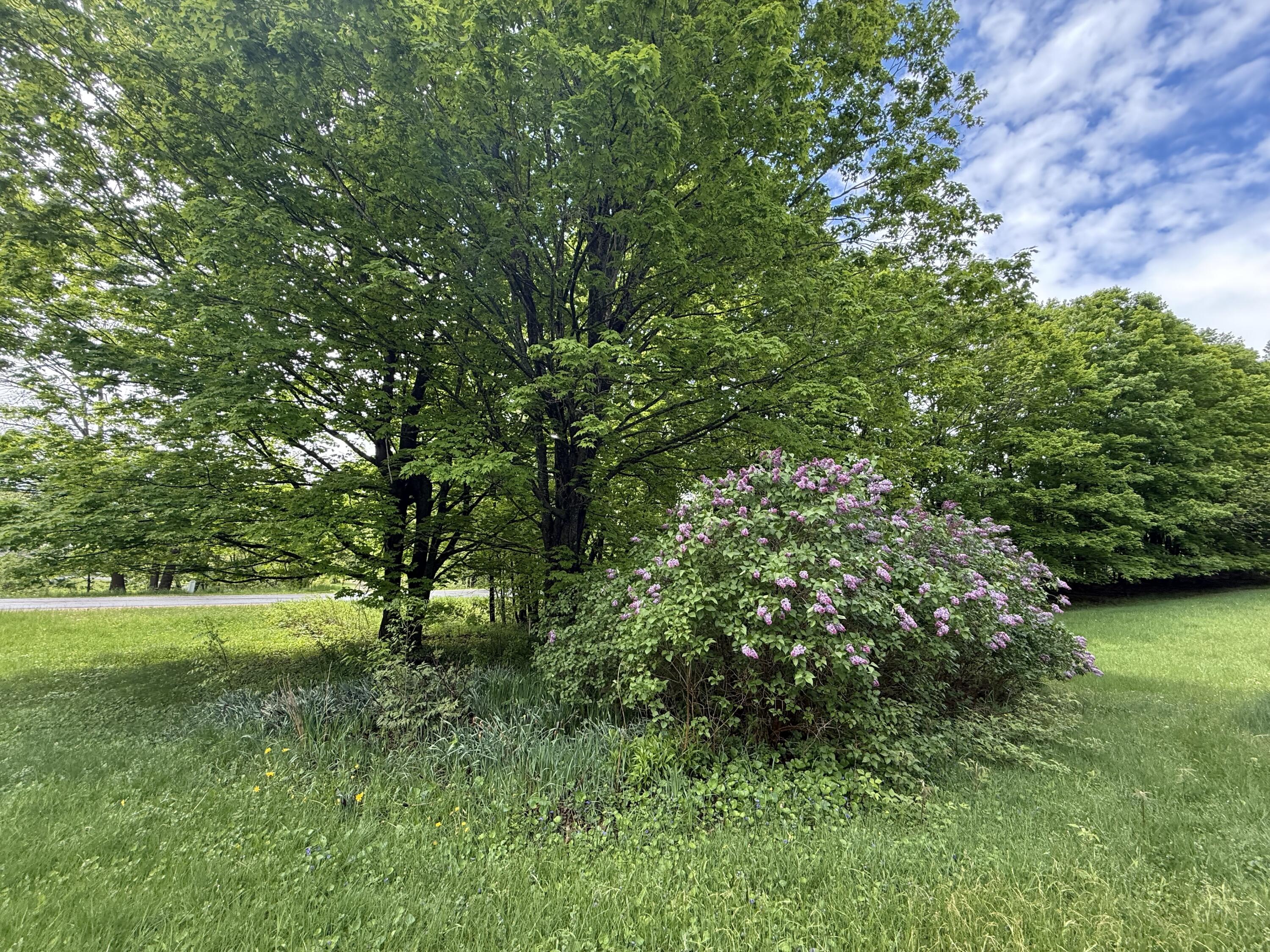 67 Nashville Road Saranac NY 12981