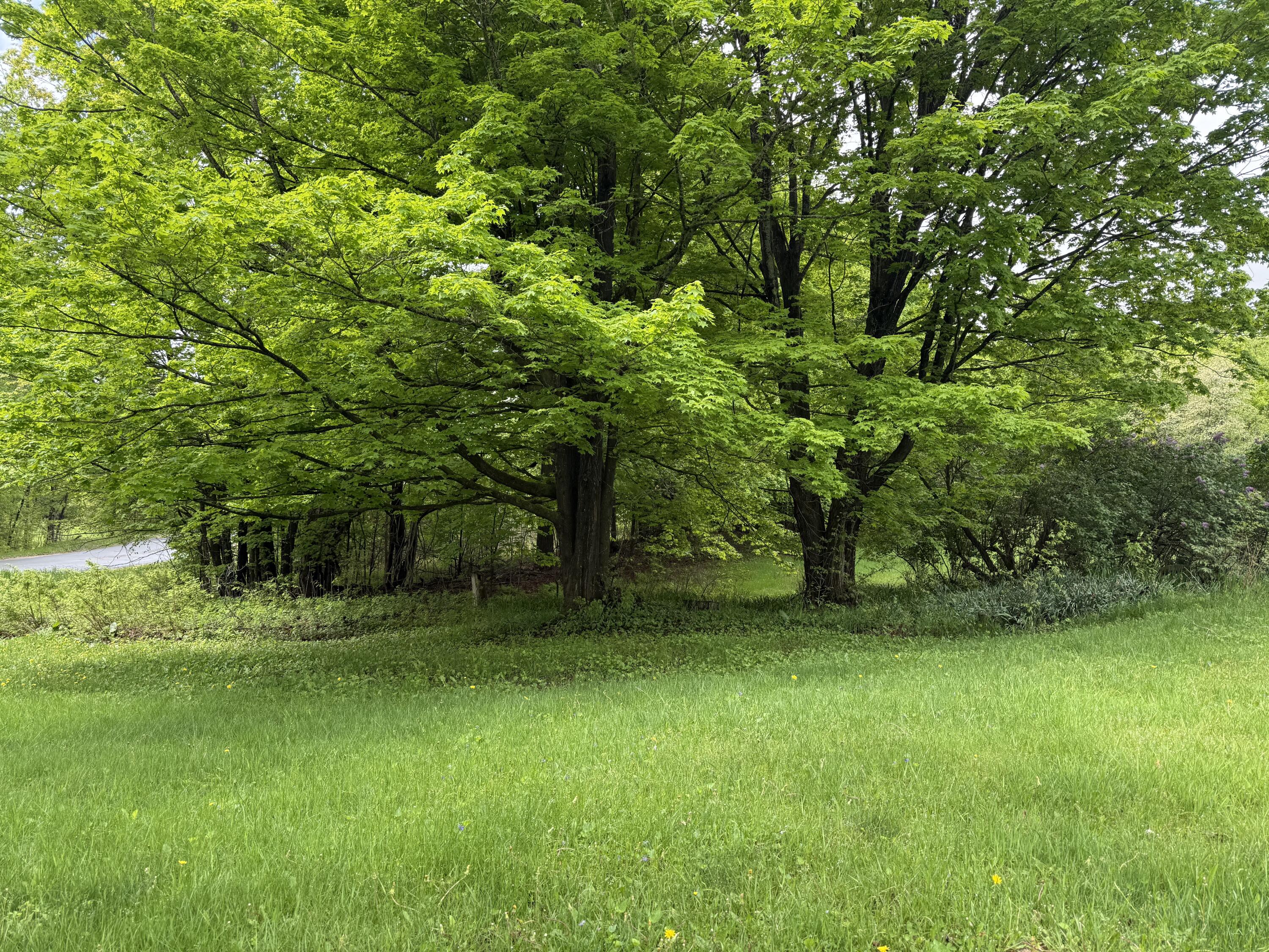 67 Nashville Road Saranac NY 12981