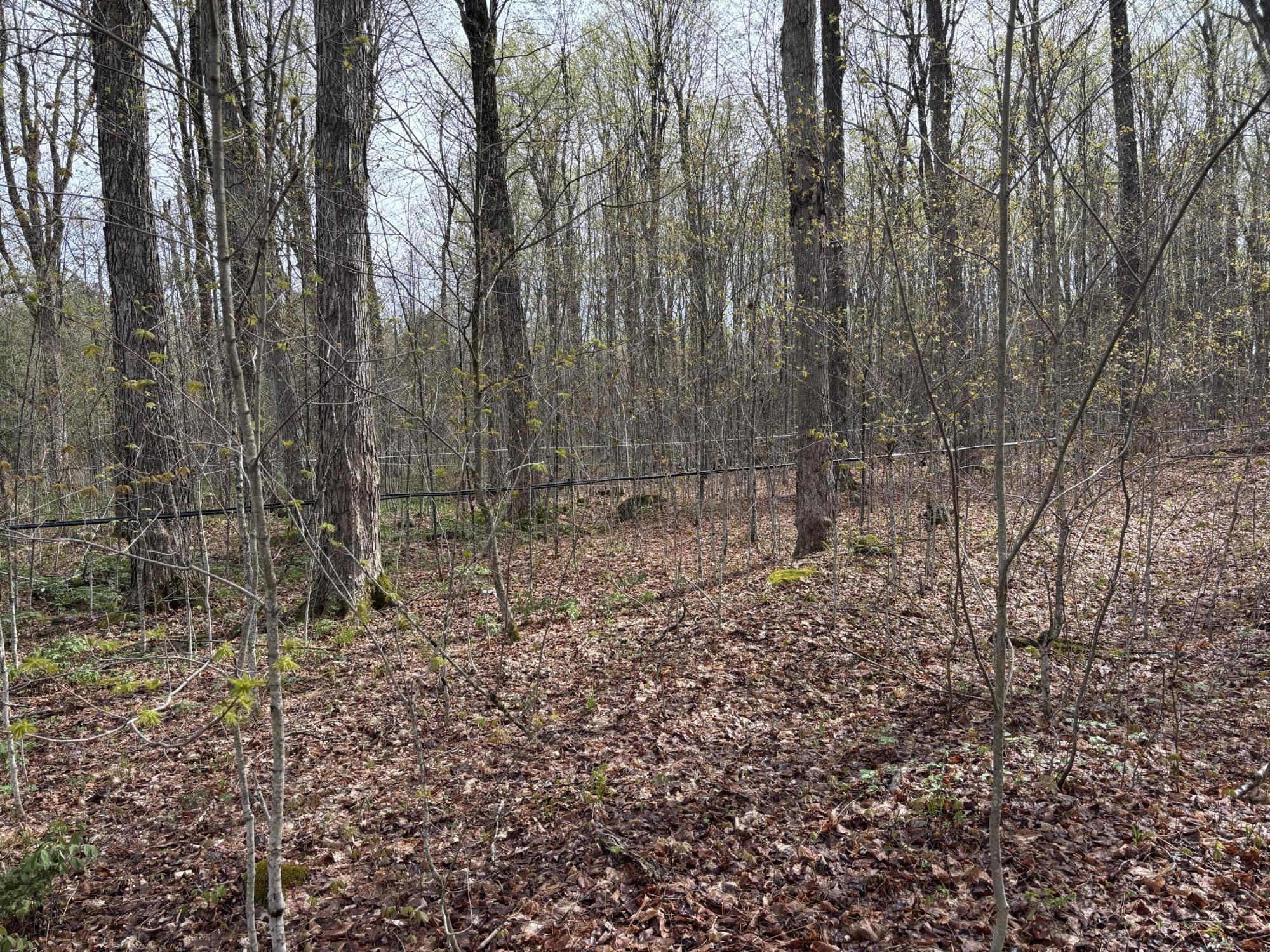 201 Cannon Corners Road Mooers Forks NY 12959
