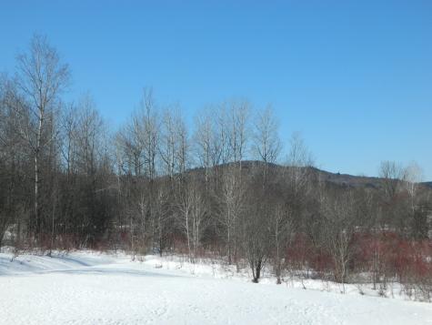 1399 Hardscrabble Road Cadyville NY 12918