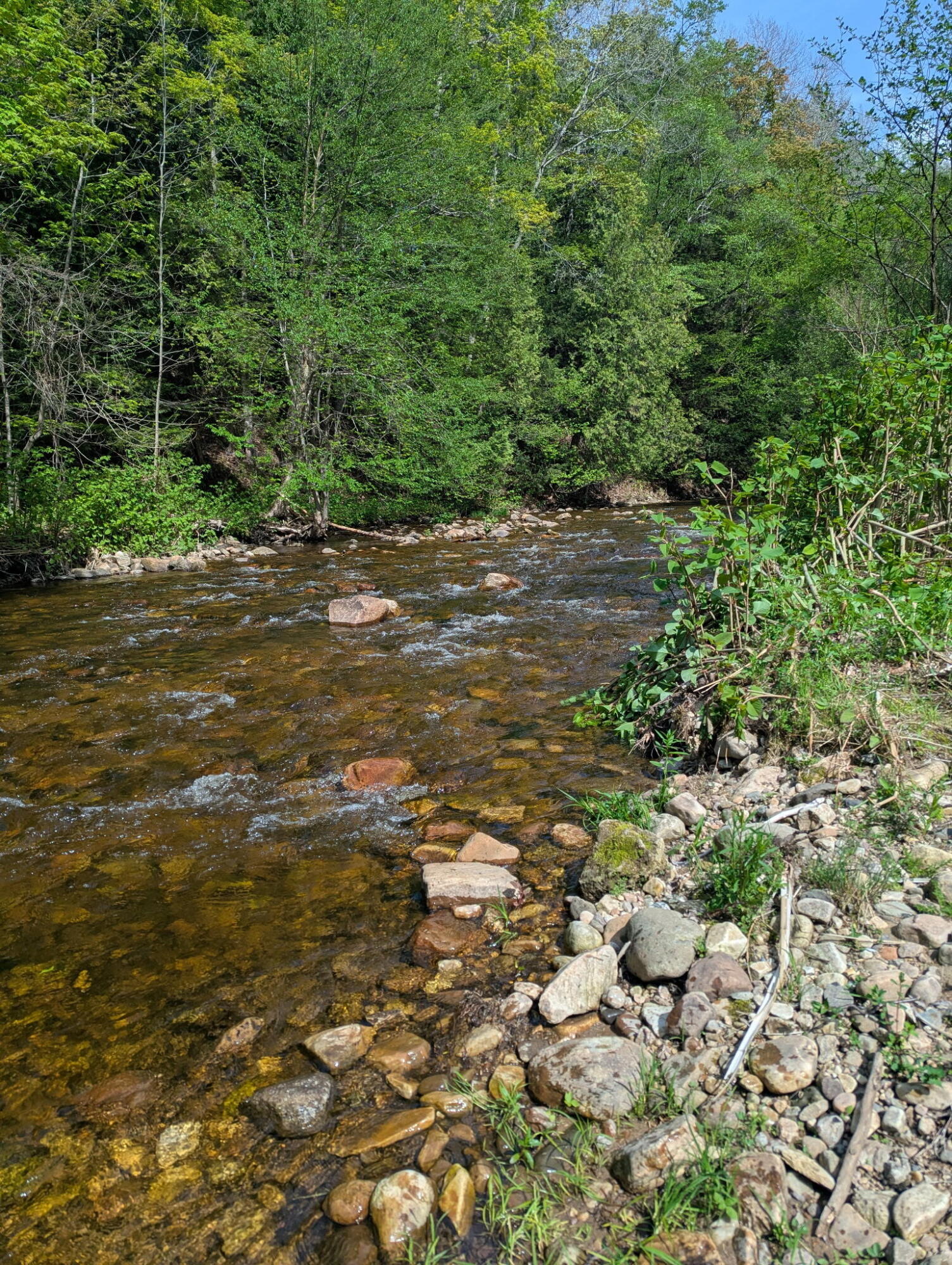 0 State Route 11 Burke NY 12917