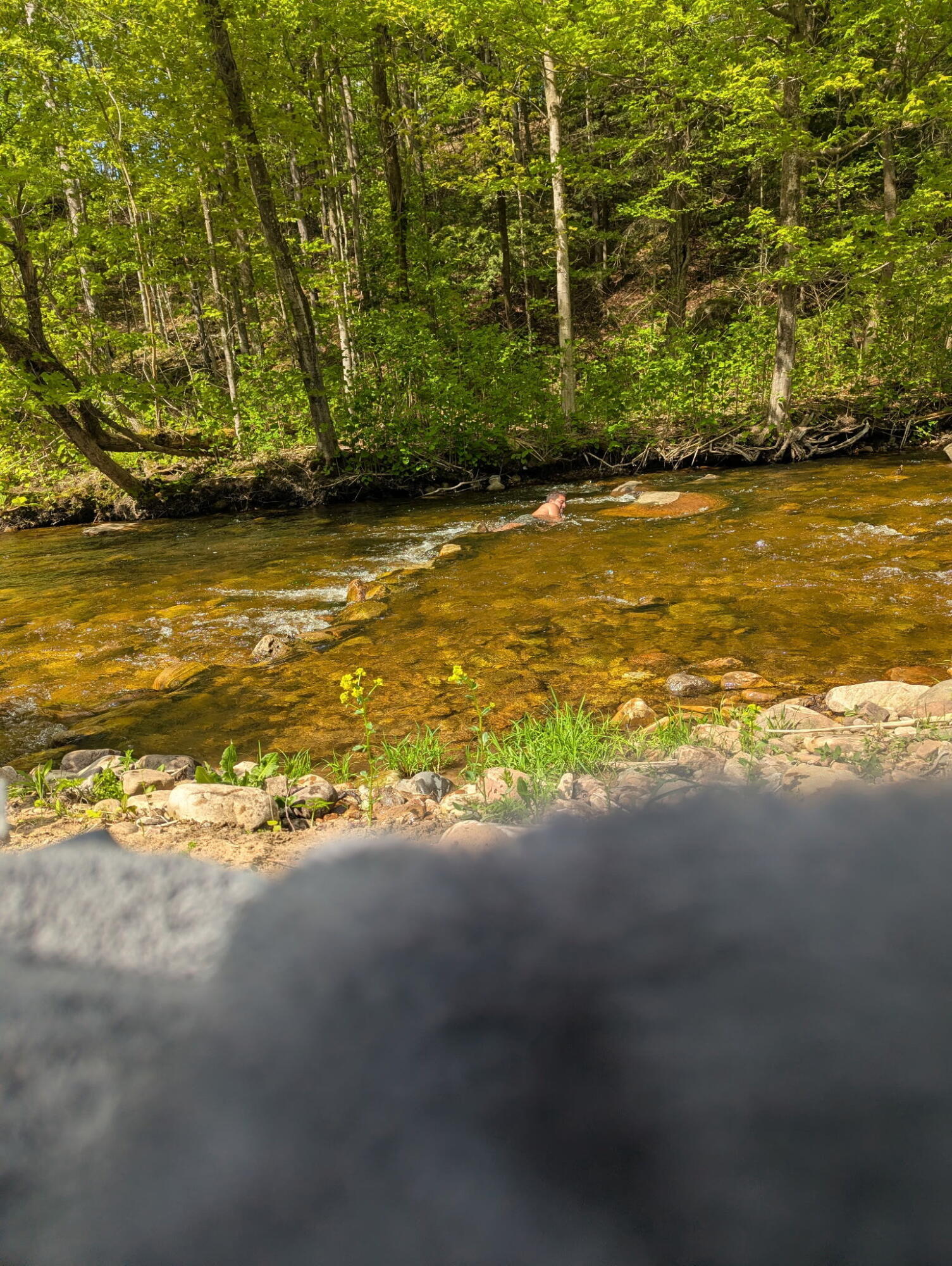0 State Route 11 Burke NY 12917