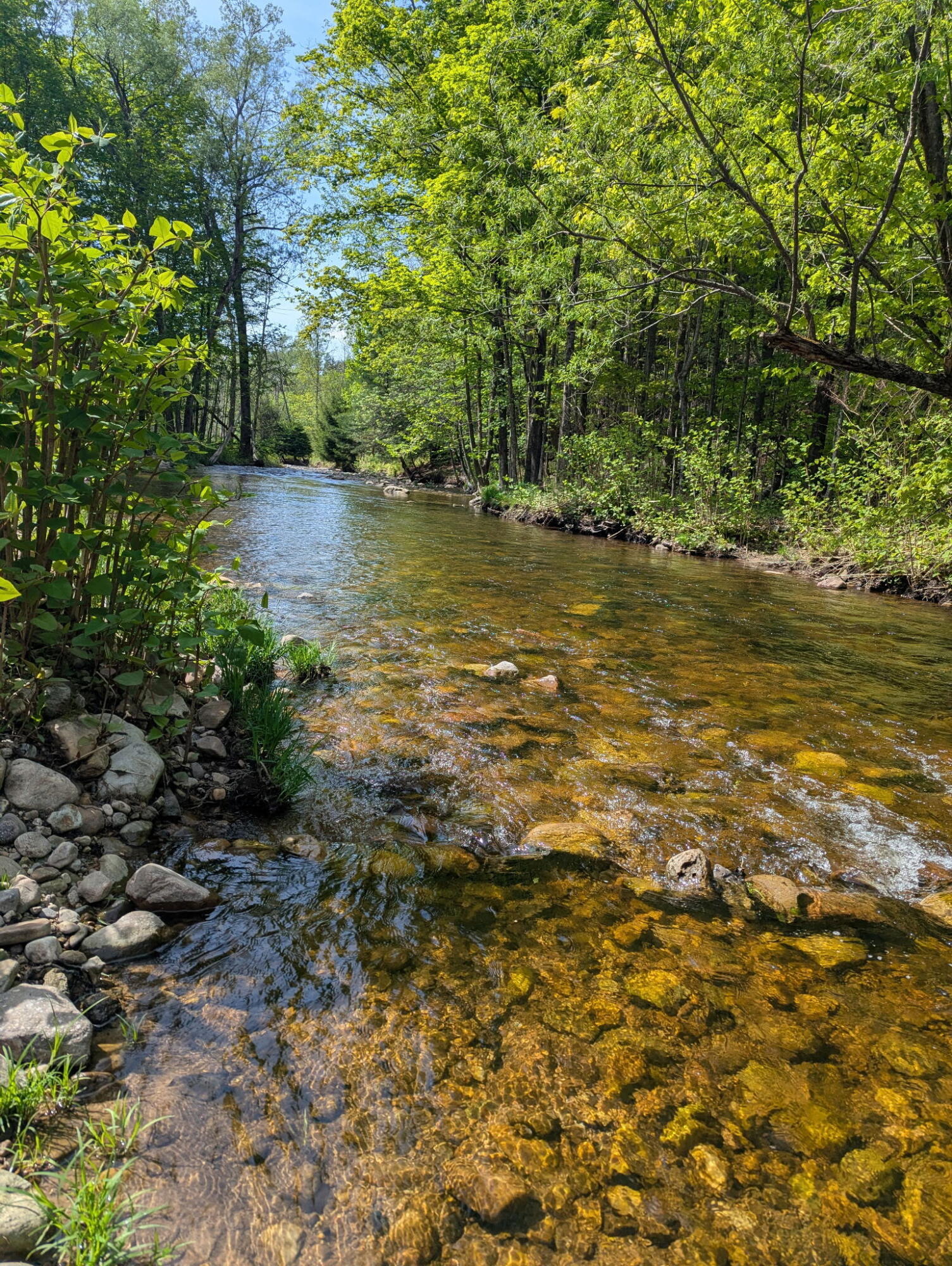 0 State Route 11 Burke NY 12917