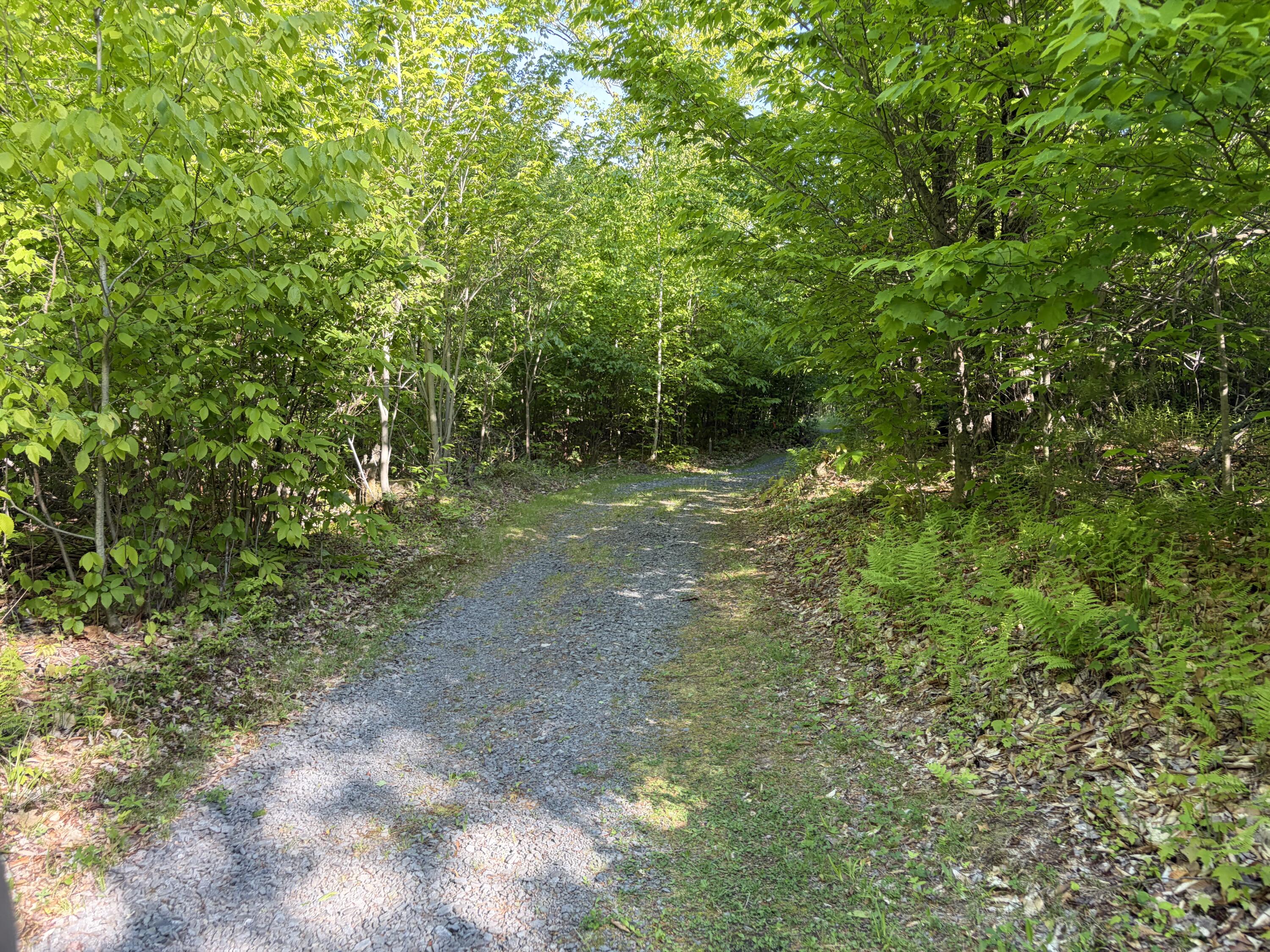 186 Town Line Road Cadyville NY 12918
