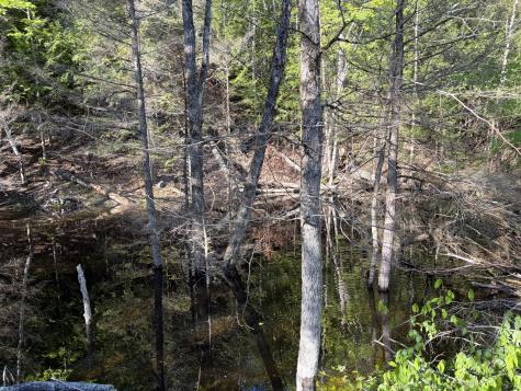 186 Town Line Road Cadyville NY 12918