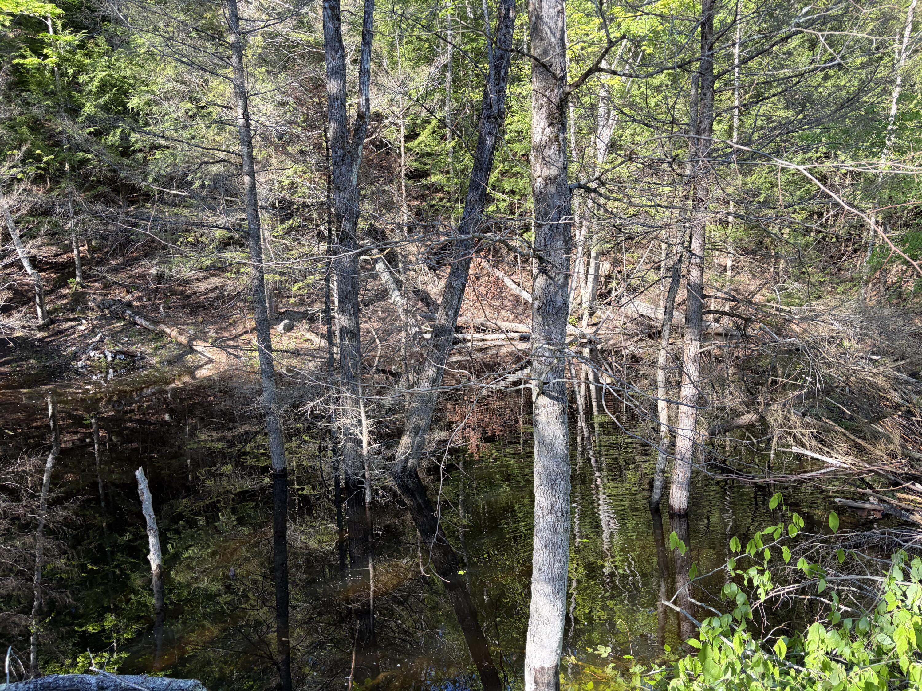 186 Town Line Road Cadyville NY 12918