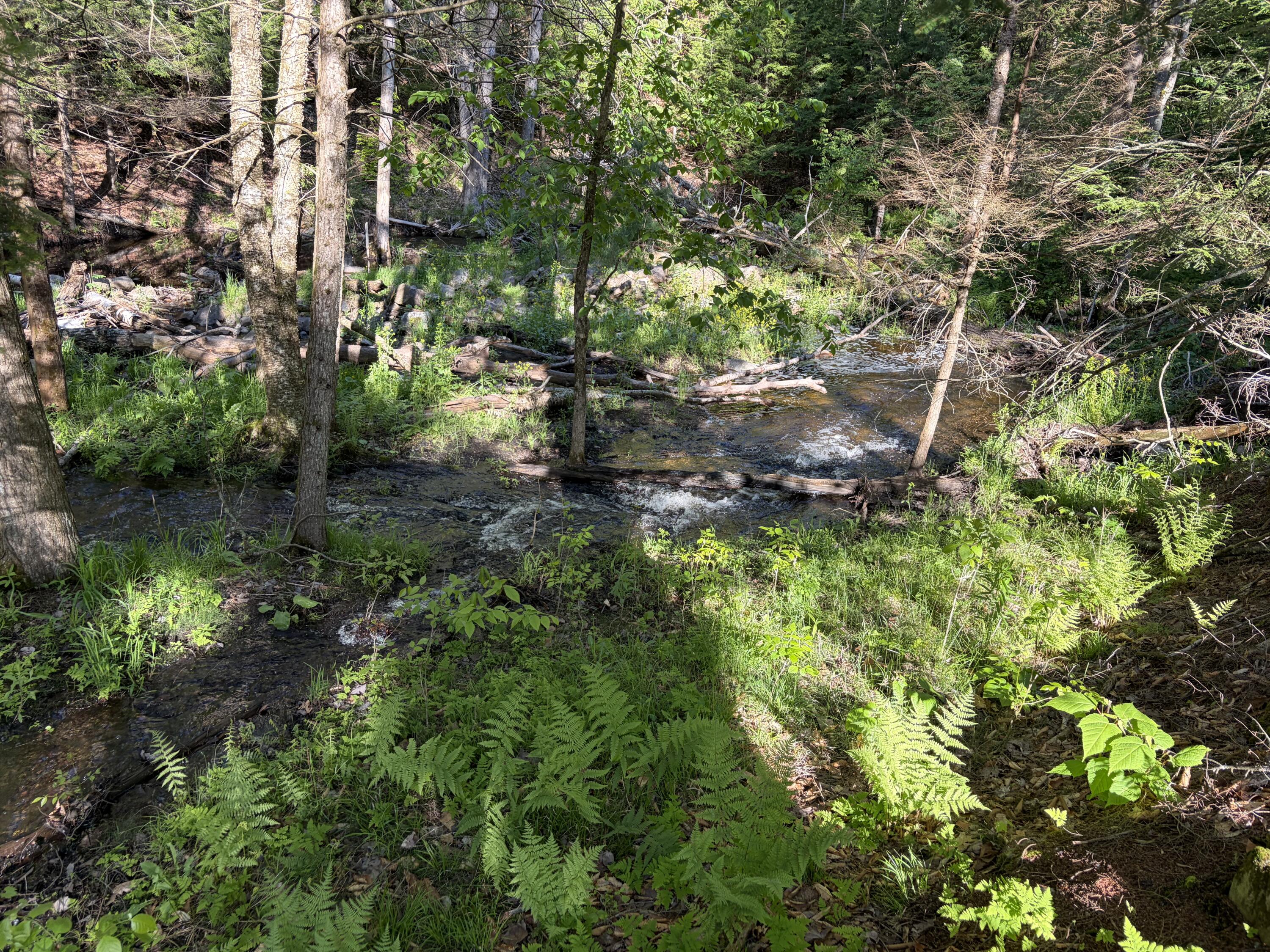 186 Town Line Road Cadyville NY 12918