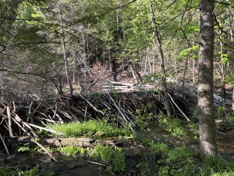 186 Town Line Road Cadyville NY 12918