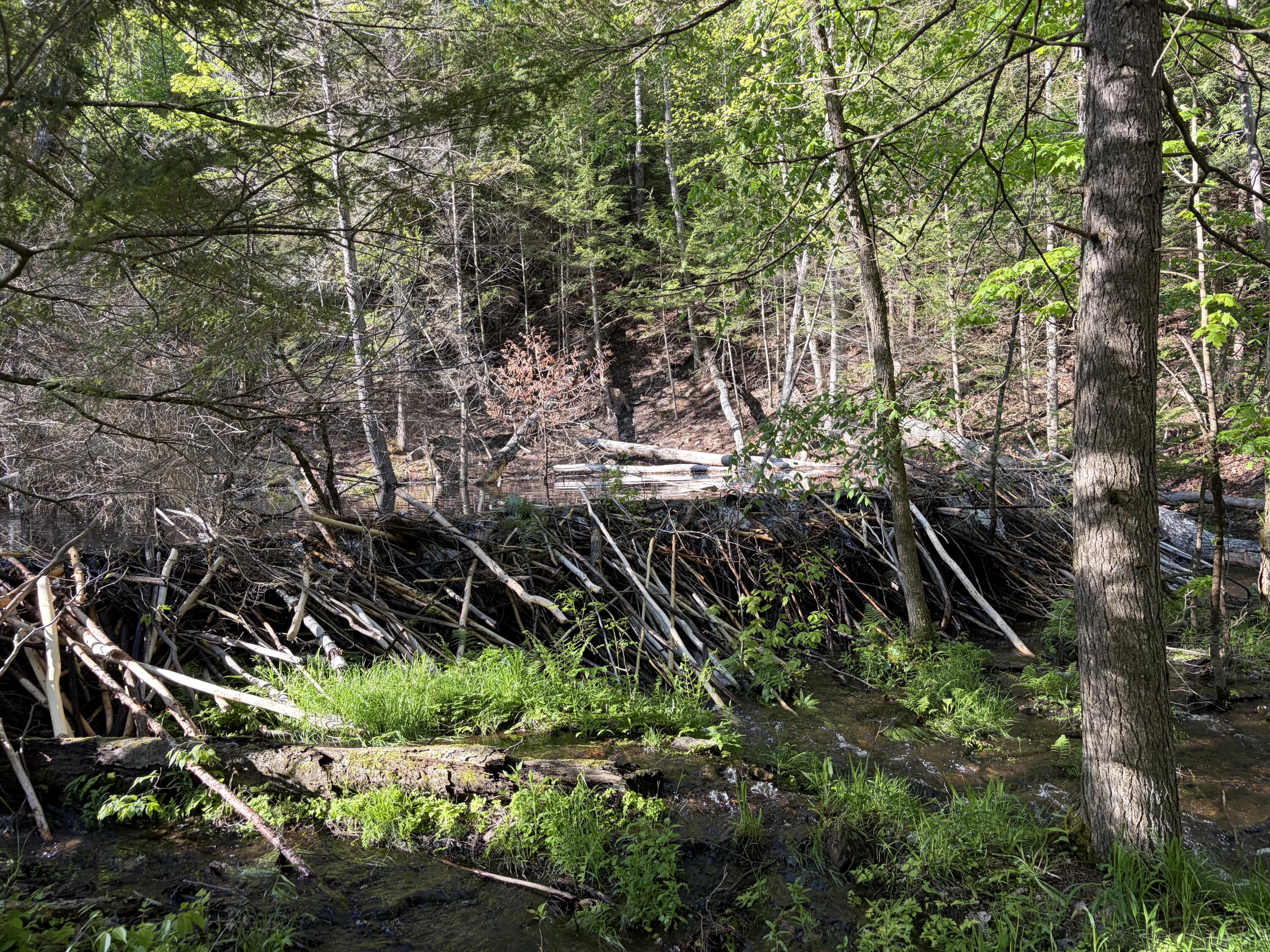 186 Town Line Road Cadyville NY 12918