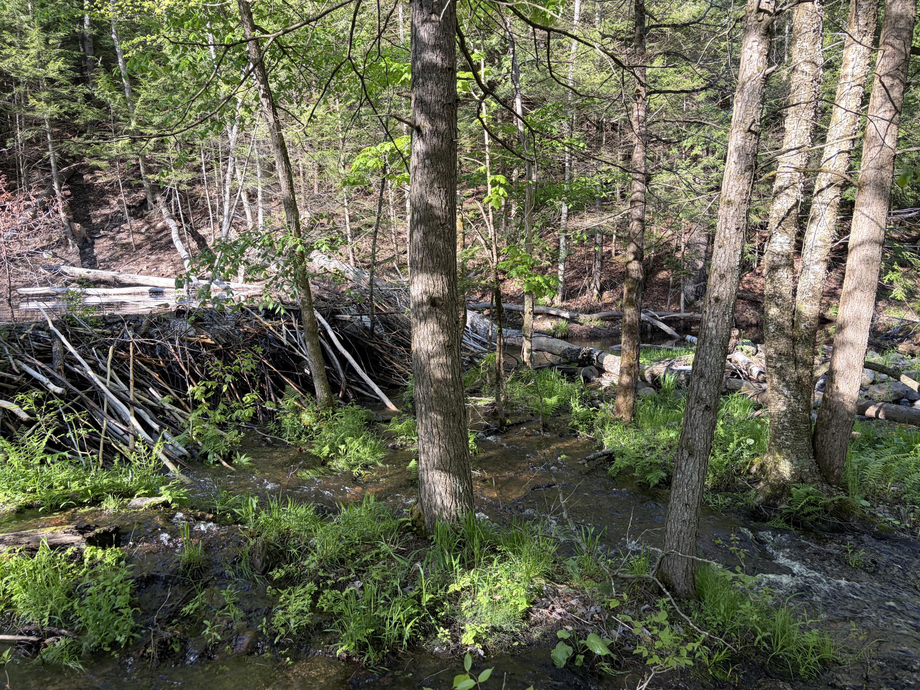 186 Town Line Road Cadyville NY 12918