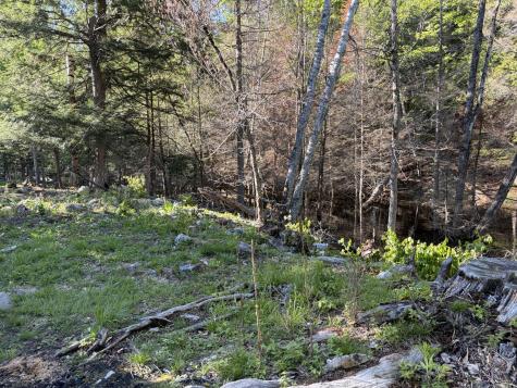186 Town Line Road Cadyville NY 12918