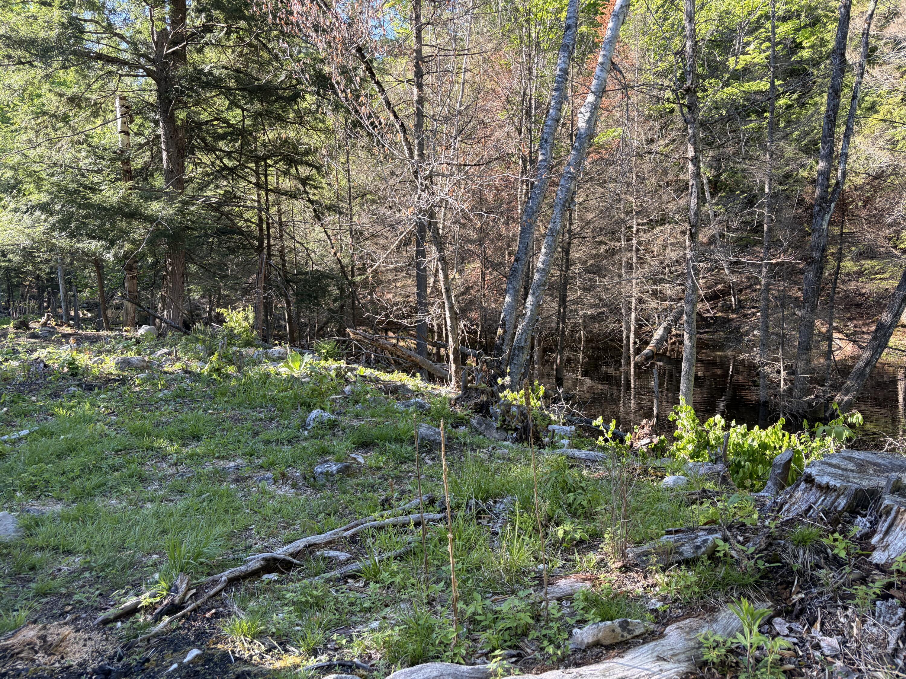186 Town Line Road Cadyville NY 12918