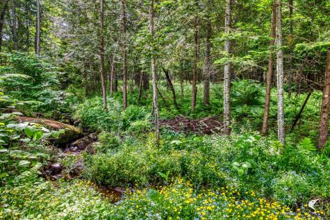 42 Main Street Bloomingdale NY 12913