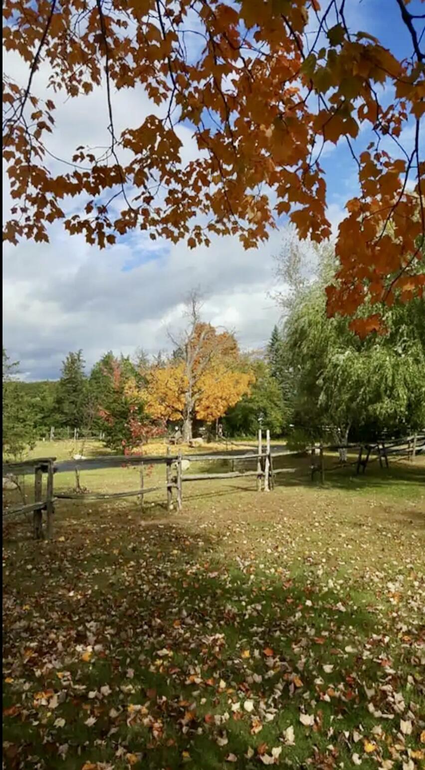 1167 Trout Pond Road Keeseville NY 12944