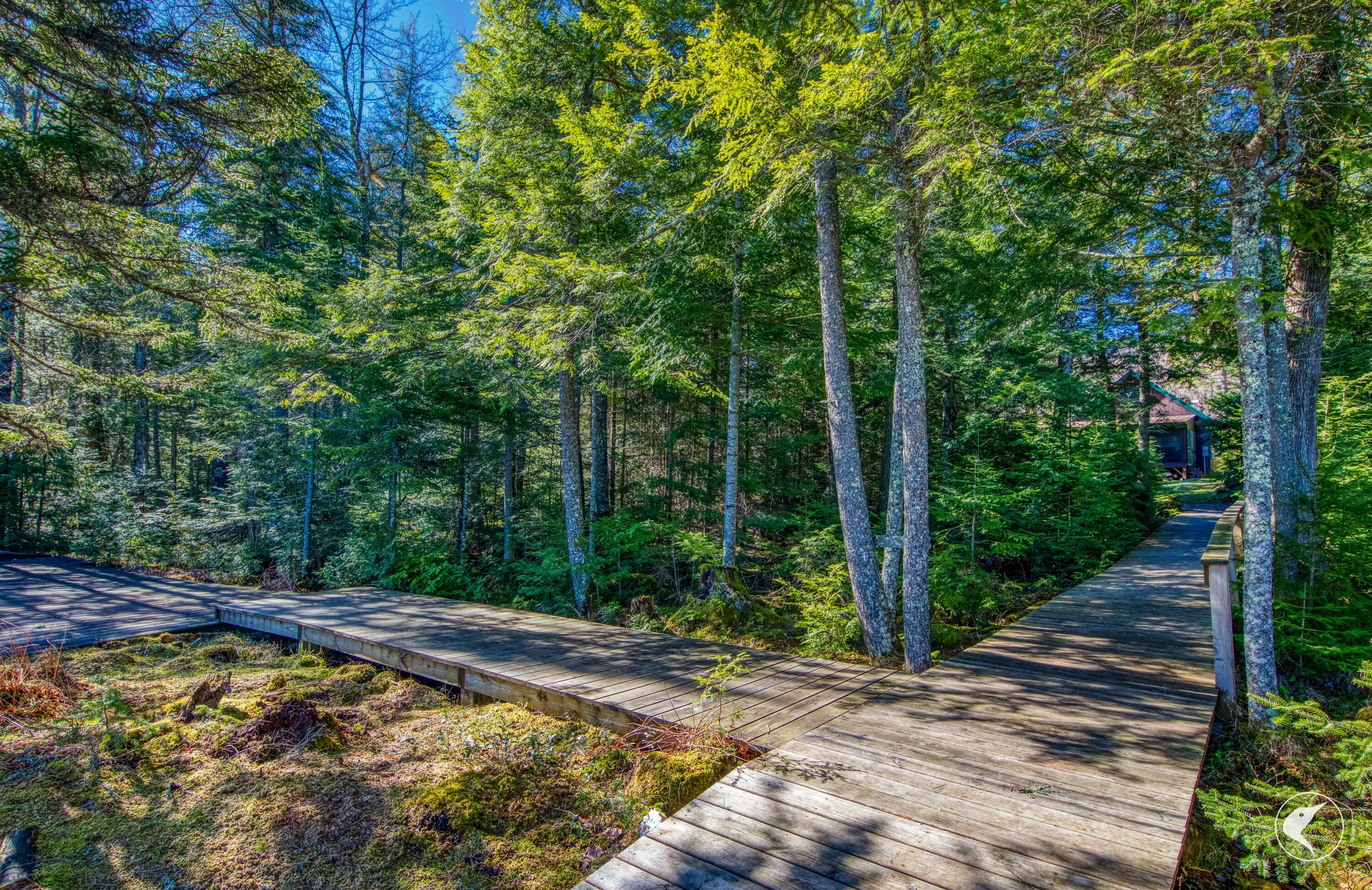 823 Bartlett Carry Road Saranac Lake NY 12983