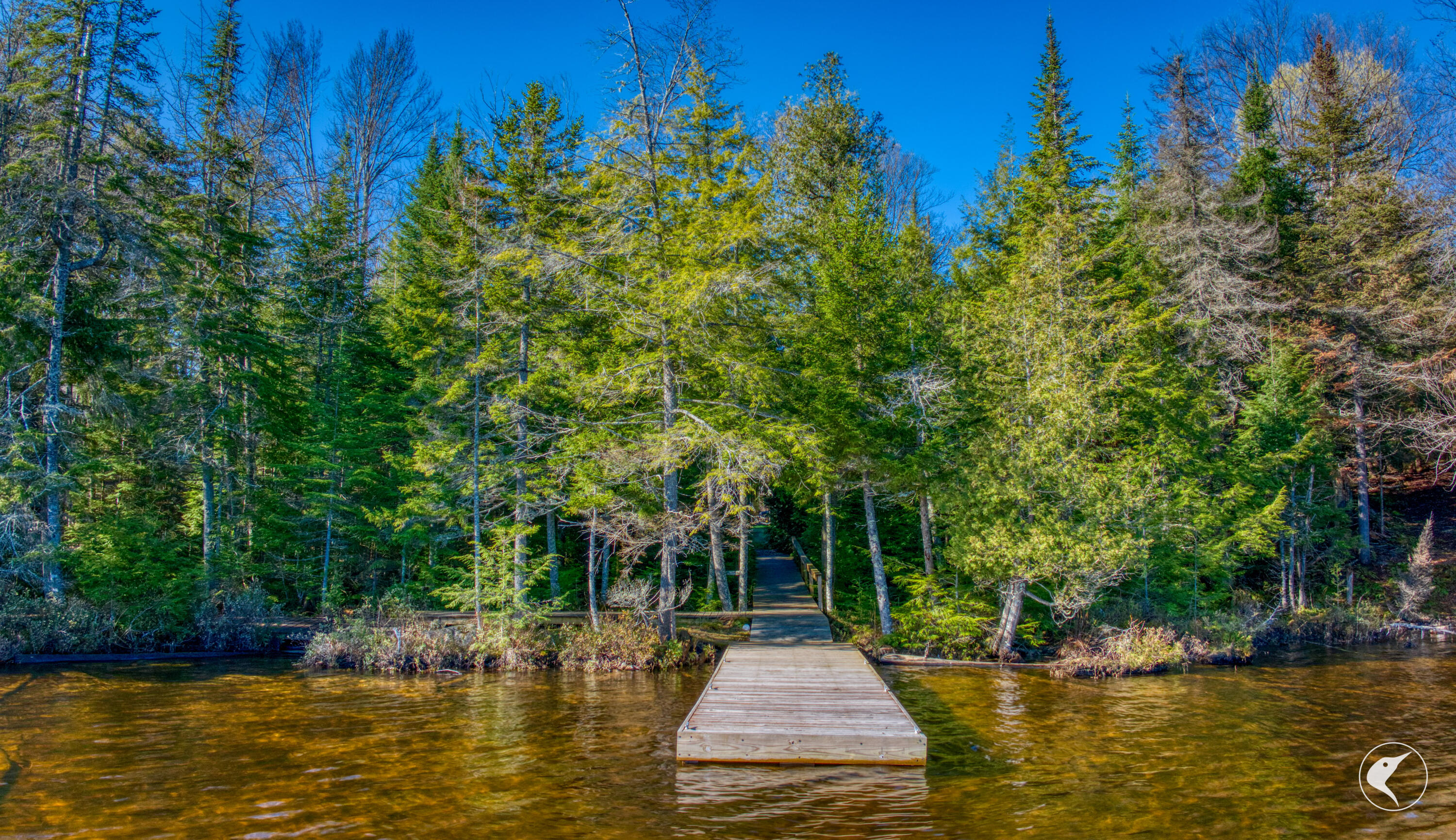 823 Bartlett Carry Road Saranac Lake NY 12983