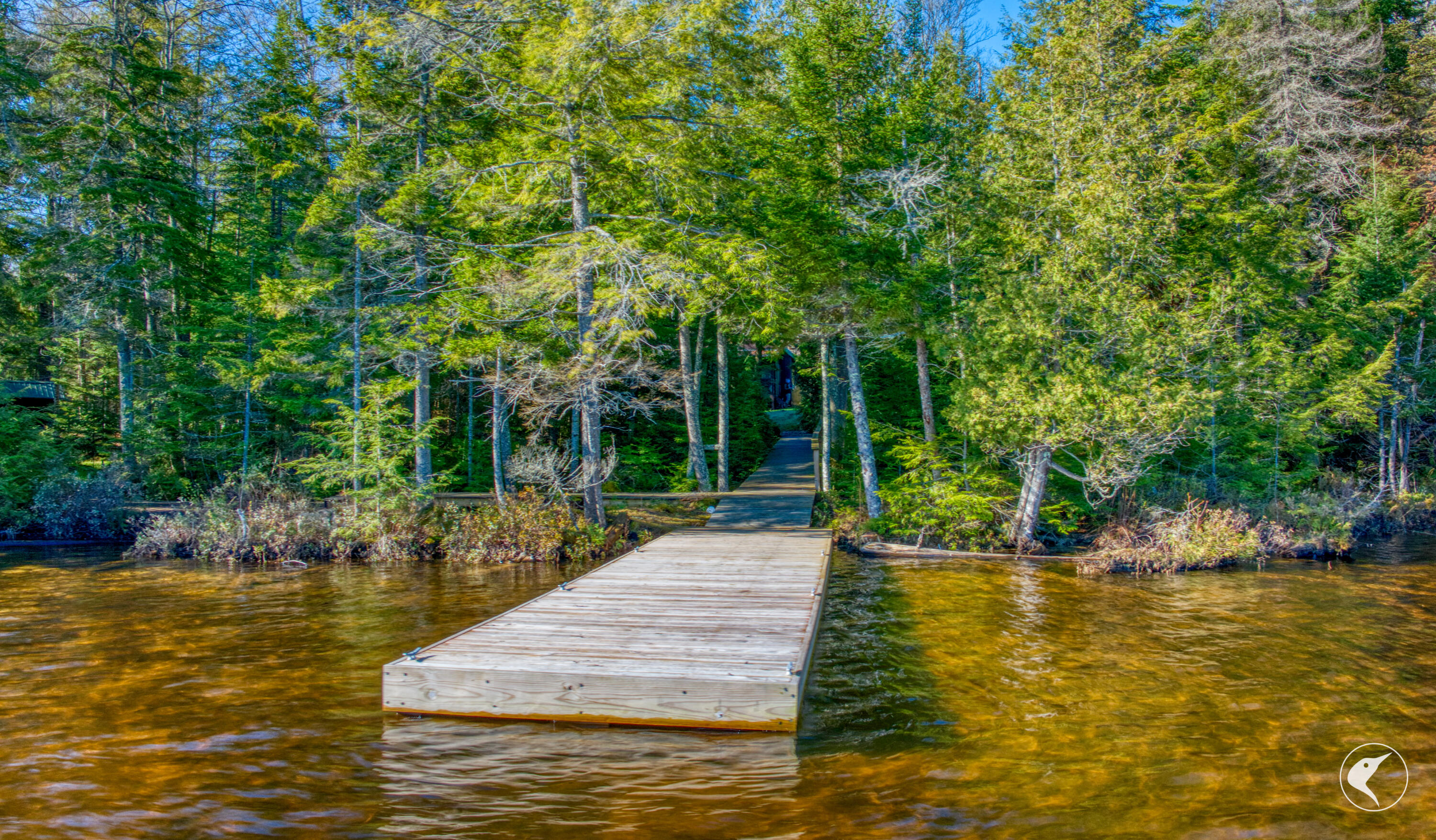 823 Bartlett Carry Road Saranac Lake NY 12983