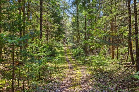 1147 Forestdale Road Black Brook NY 12912