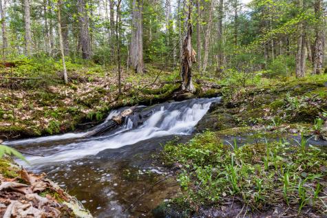 1147 Forestdale Road Black Brook NY 12912