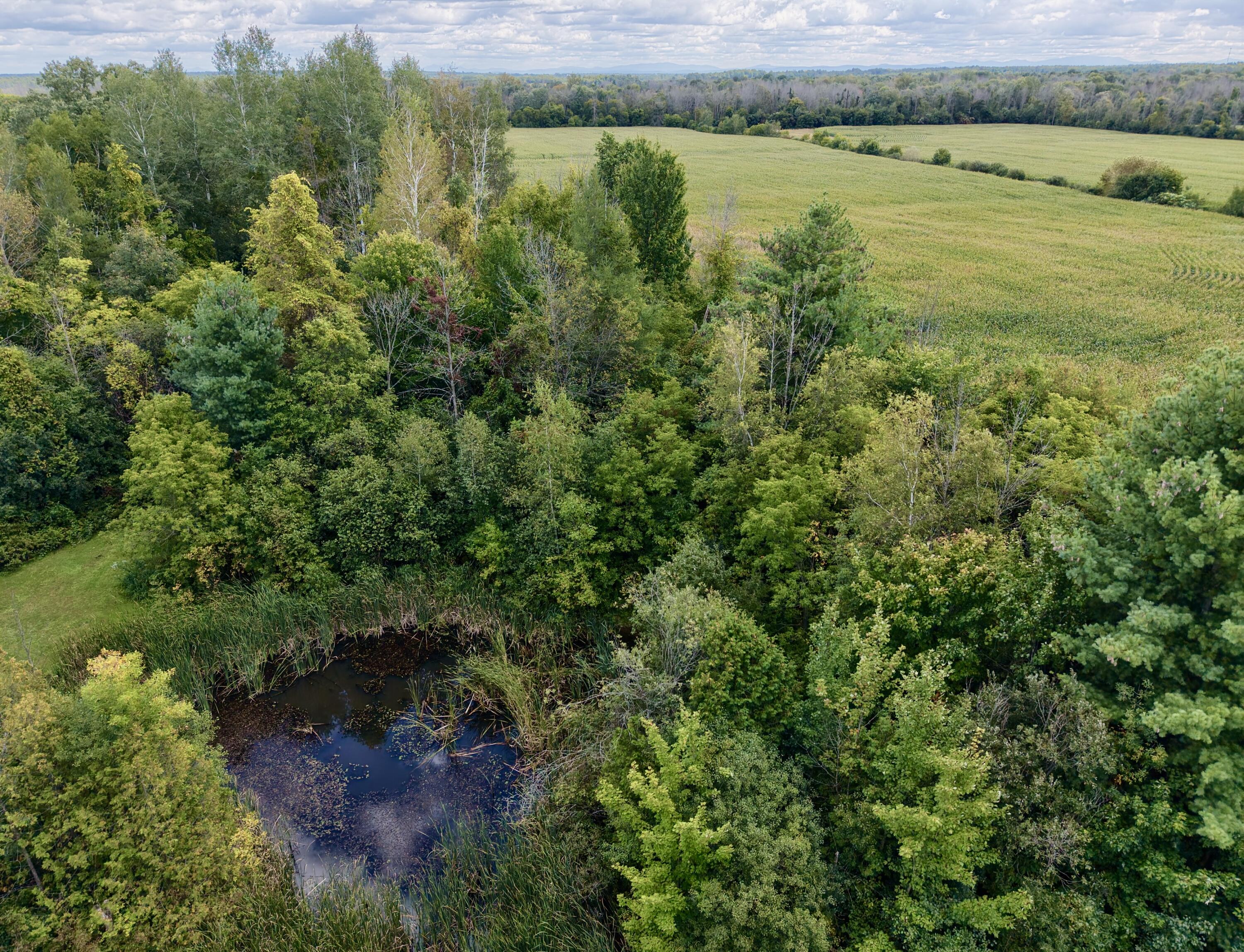 589 Perry Mills Road Champlain NY 12919