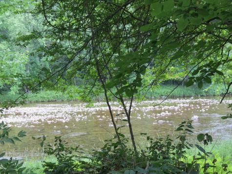 6 Intervale Avenue Au Sable Forks NY 12912