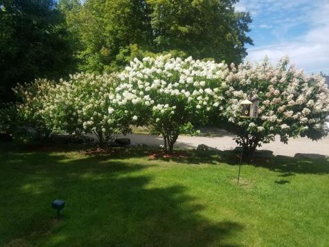 2094 Rand Hill Road Altona NY 12910
