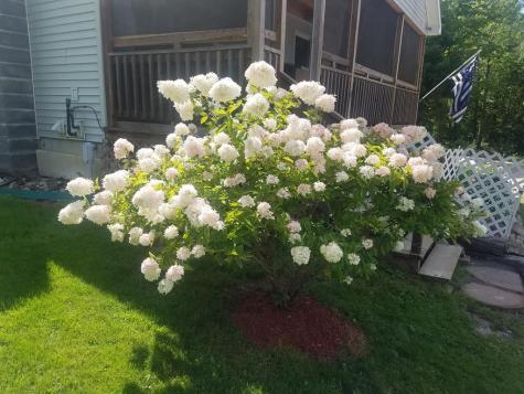 2094 Rand Hill Road Altona NY 12910