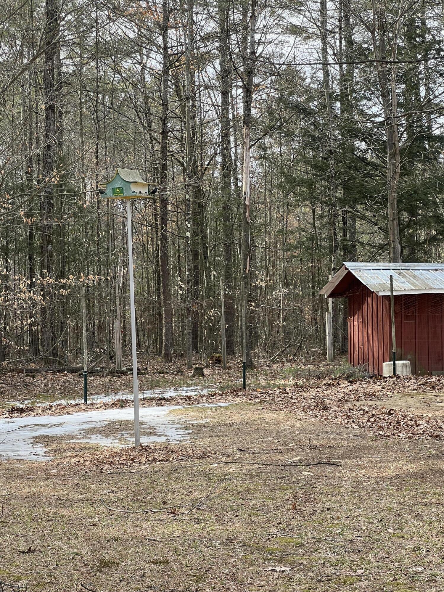 776 Brainards Forge Road Lewis NY 12950