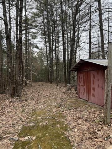 776 Brainards Forge Road Lewis NY 12950