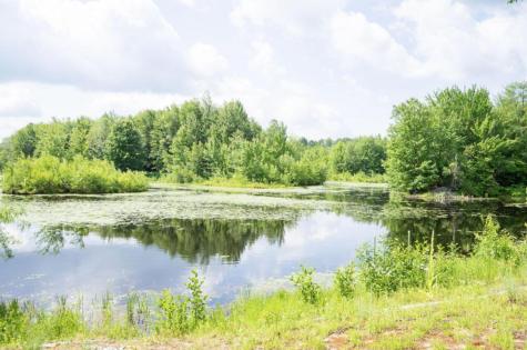 57 Pinewood Drive Altona NY 12910