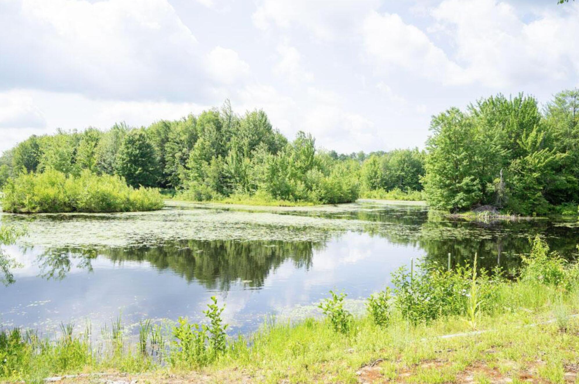 57 Pinewood Drive Altona NY 12910