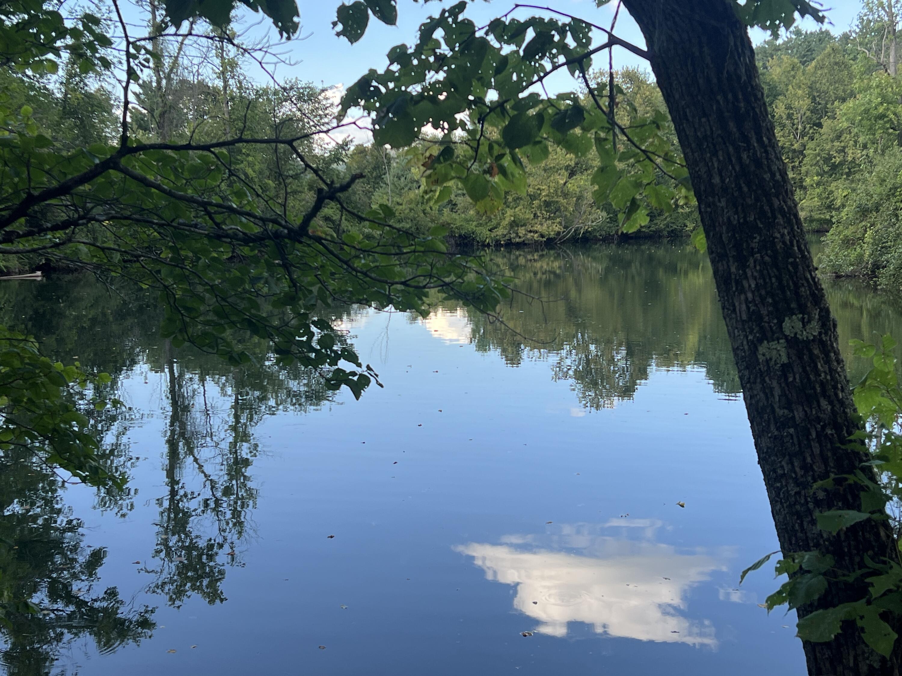 1479 County Route 8 Westport NY 12993