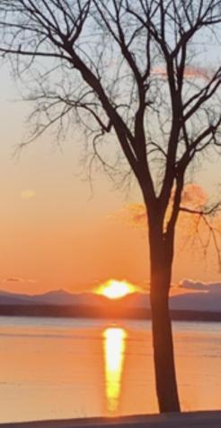 167 Dickson Point Road Plattsburgh NY 12901