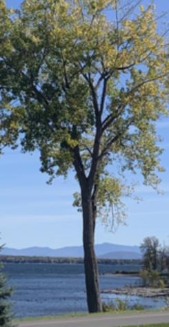 167 Dickson Point Road Plattsburgh NY 12901