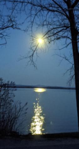 167 Dickson Point Road Plattsburgh NY 12901