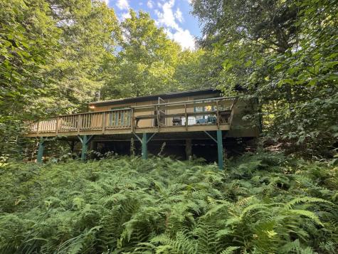 41 Lone Pine Road Cranberry Lake NY 12927