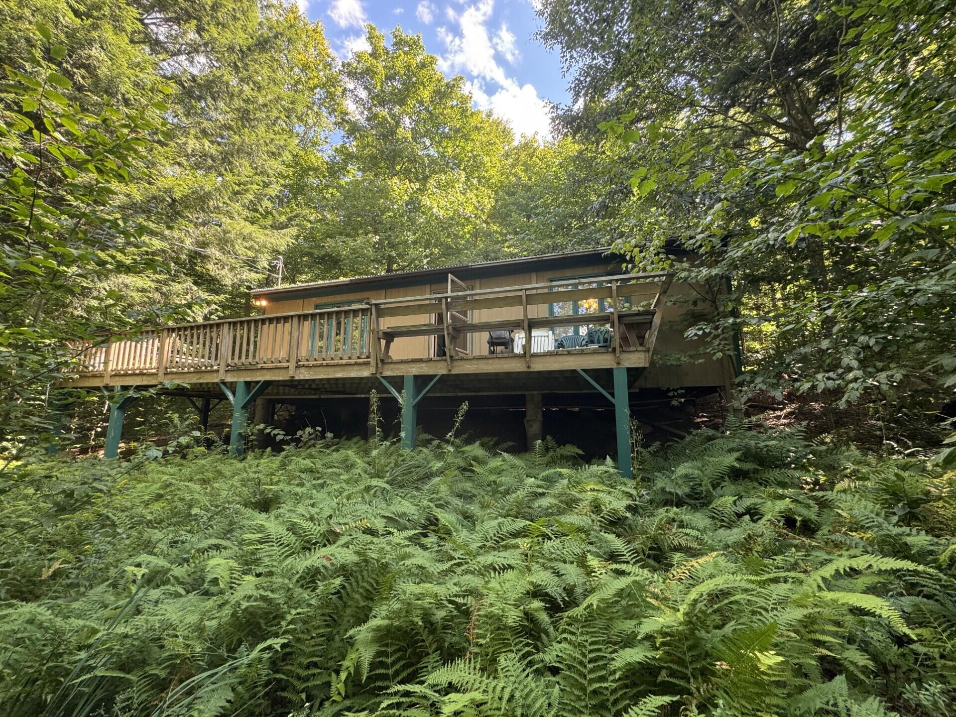 41 Lone Pine Road Cranberry Lake NY 12927