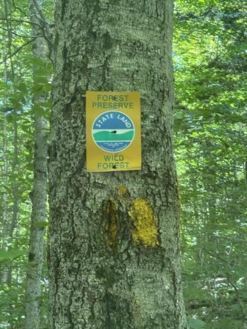 41 Lone Pine Road Cranberry Lake NY 12927