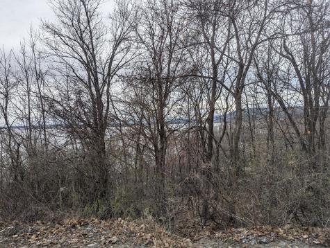 4454 N Main Street Port Henry NY 12974