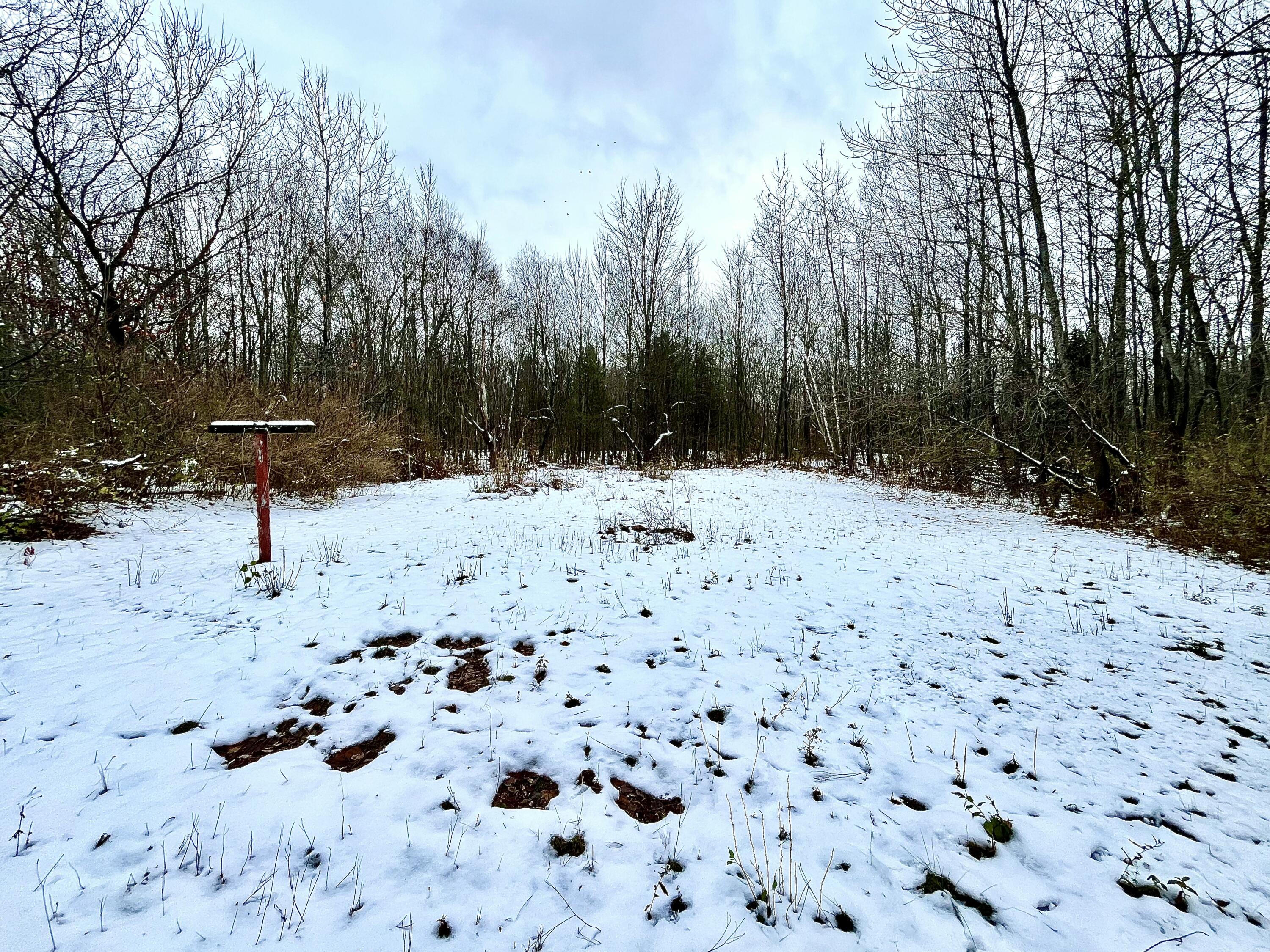 887 Ny-374 Cadyville NY 12918