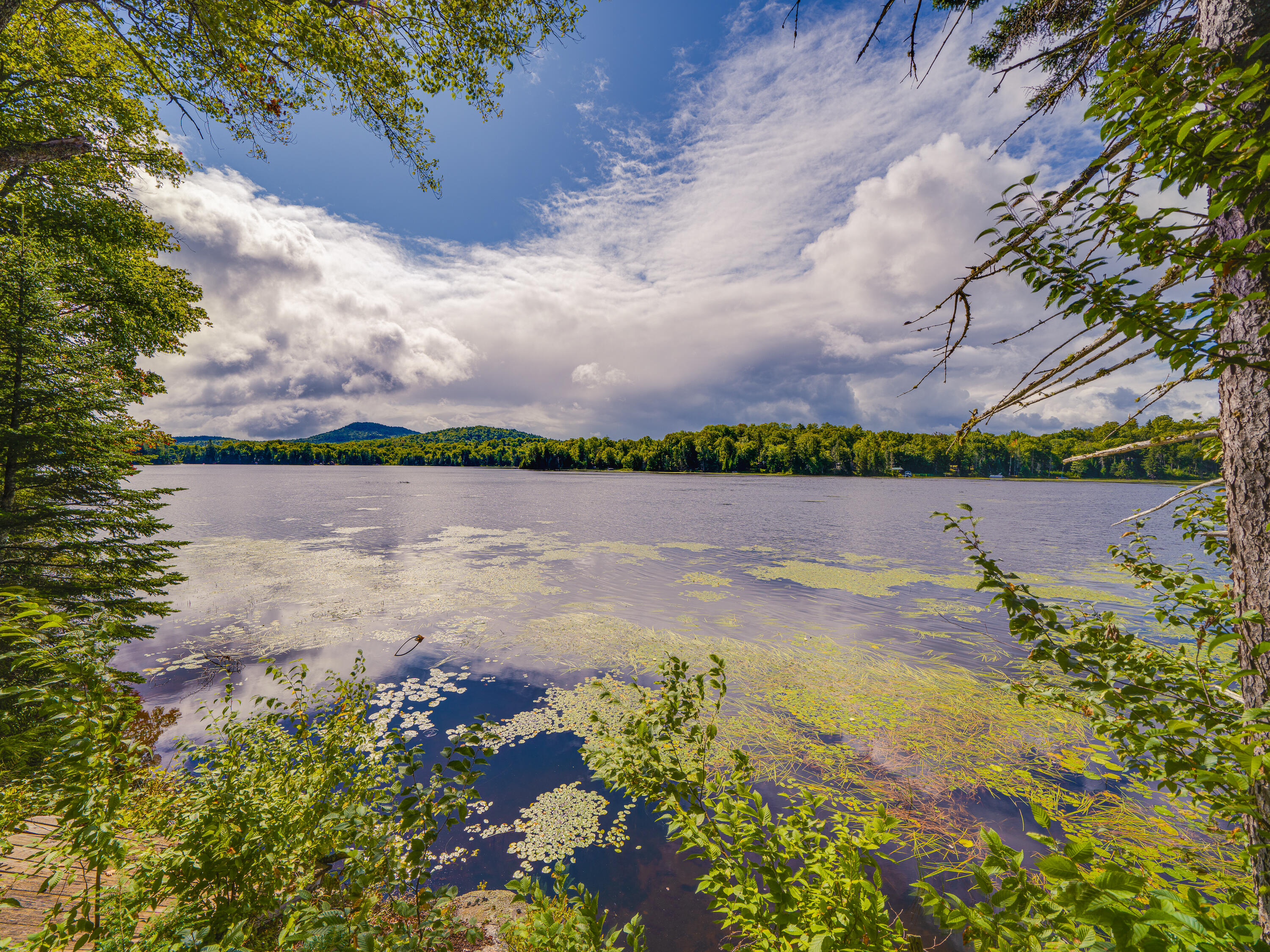 419 Woodys Newcomb NY 12852