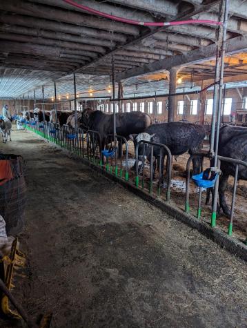 281 Pikeville Road Burke NY 12917
